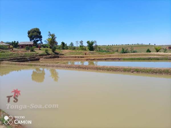 Immobilier Mada