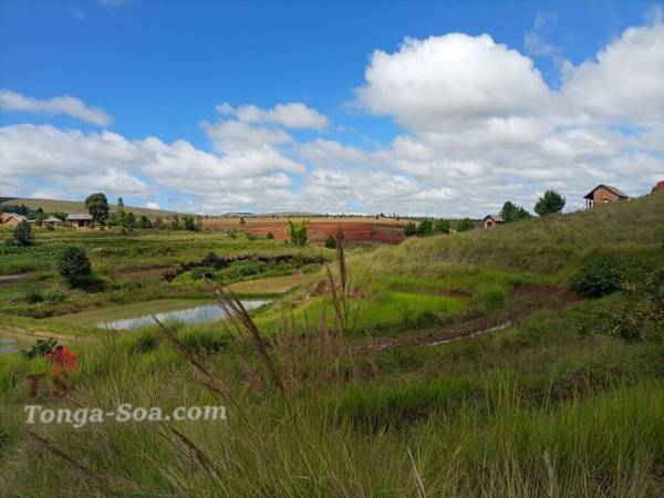 photo 3 de l annonce