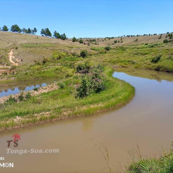 photo 4 de l annonce