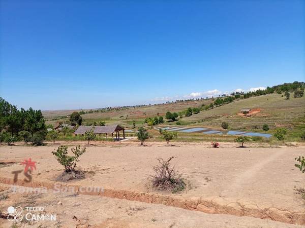 photo 2 de l annonce