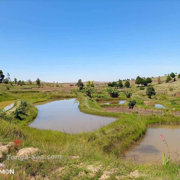 photo 3 de l annonce