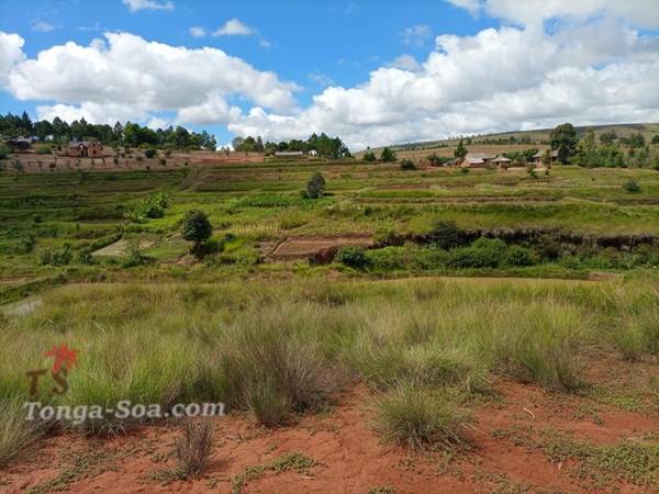 photo 4 de l annonce