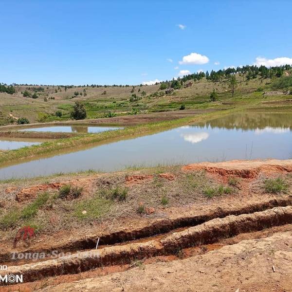 photo 5 de l annonce