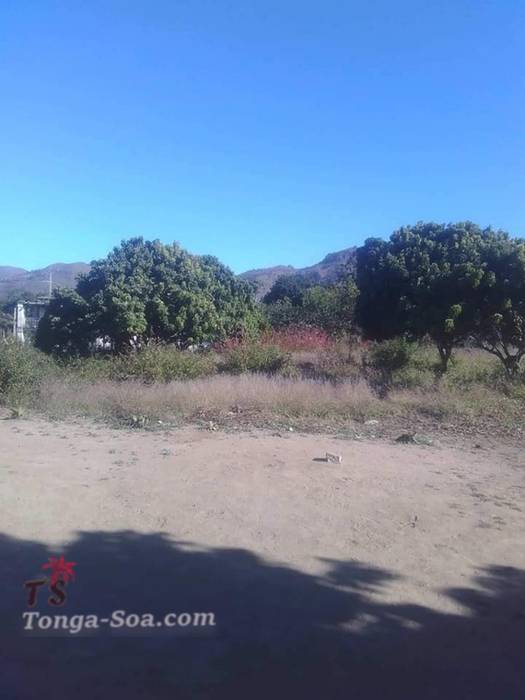 photo 1 de l annonce