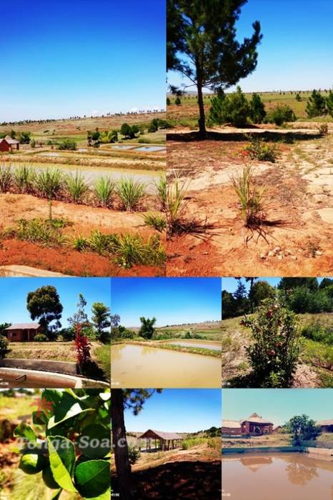 photo 1 de l annonce