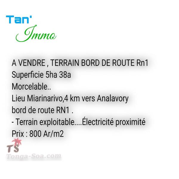 photo 2 de l annonce