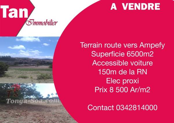 photo 1 de l annonce