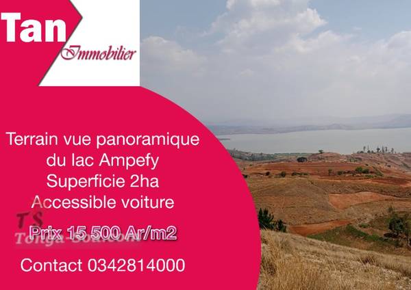 photo 2 de l annonce