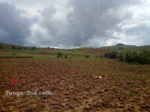 photo 2 de l annonce