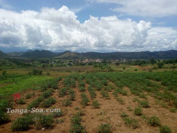 photo 5 de l annonce