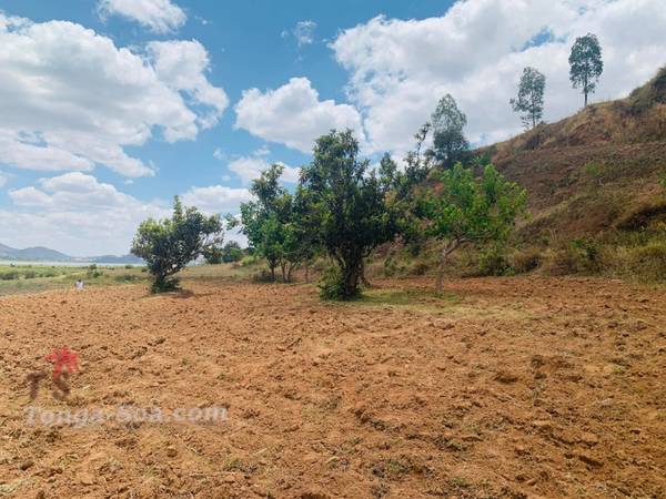 photo 1 de l annonce