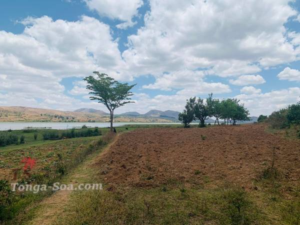 photo 3 de l annonce