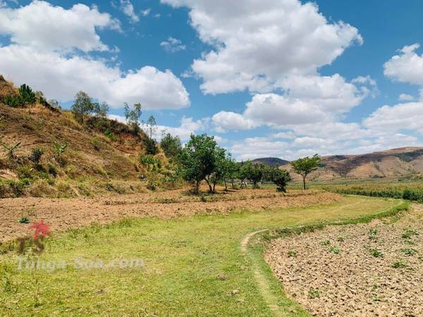 photo 4 de l annonce