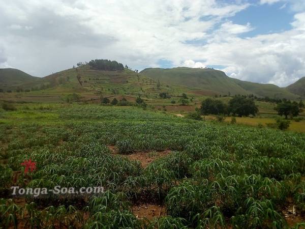 photo 1 de l annonce