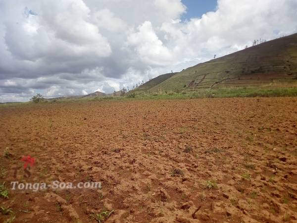 photo 3 de l annonce