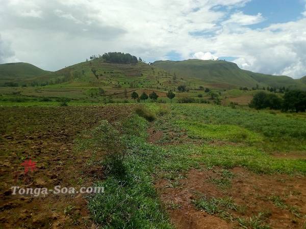 photo 4 de l annonce