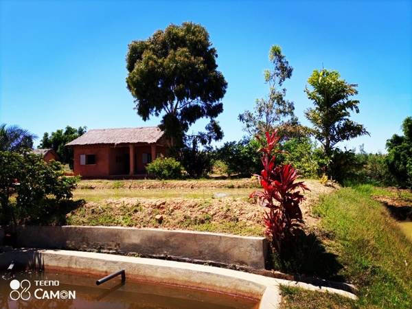 photo 4 de l annonce