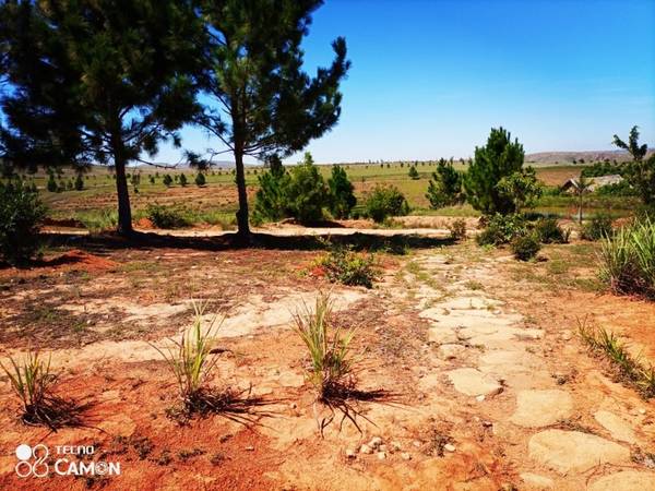 photo 5 de l annonce