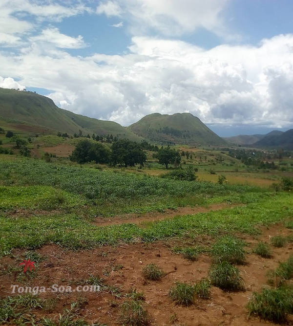 photo 1 de l annonce