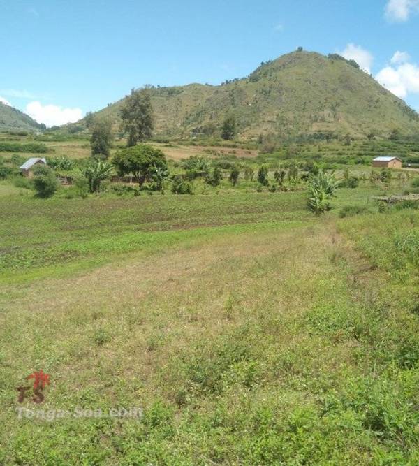 photo 1 de l annonce