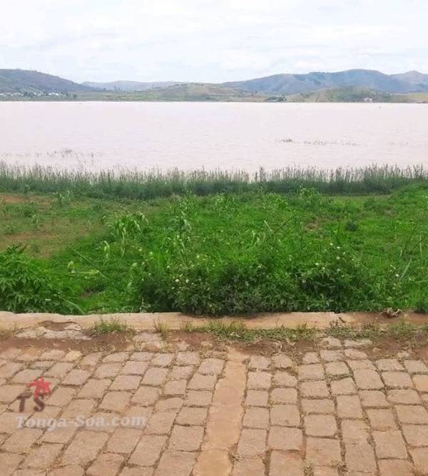 photo 1 de l annonce