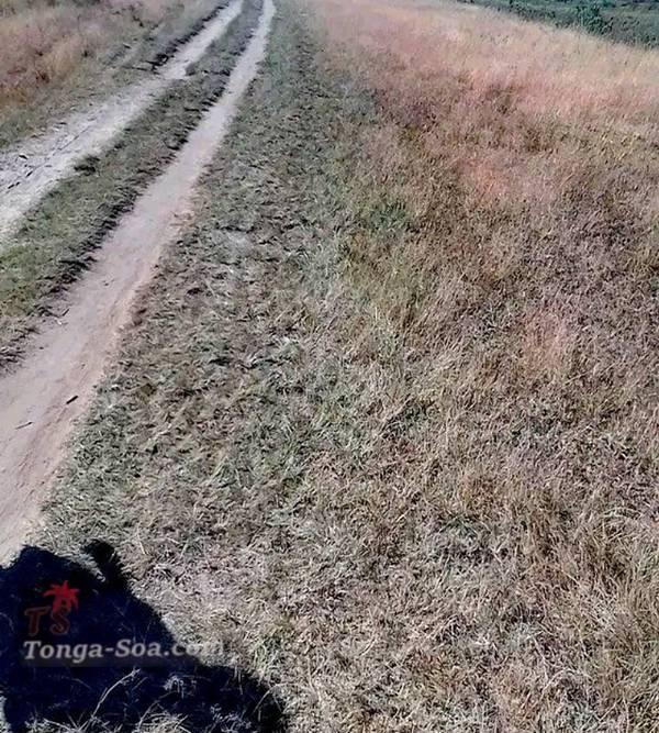 photo 2 de l annonce