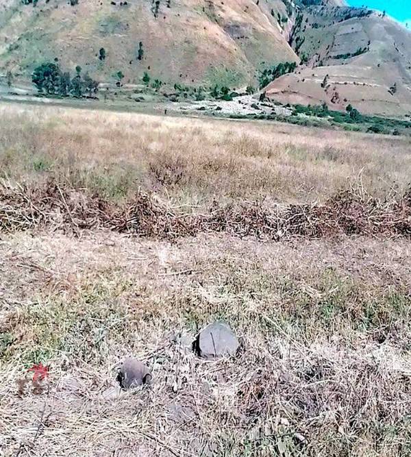 photo 3 de l annonce