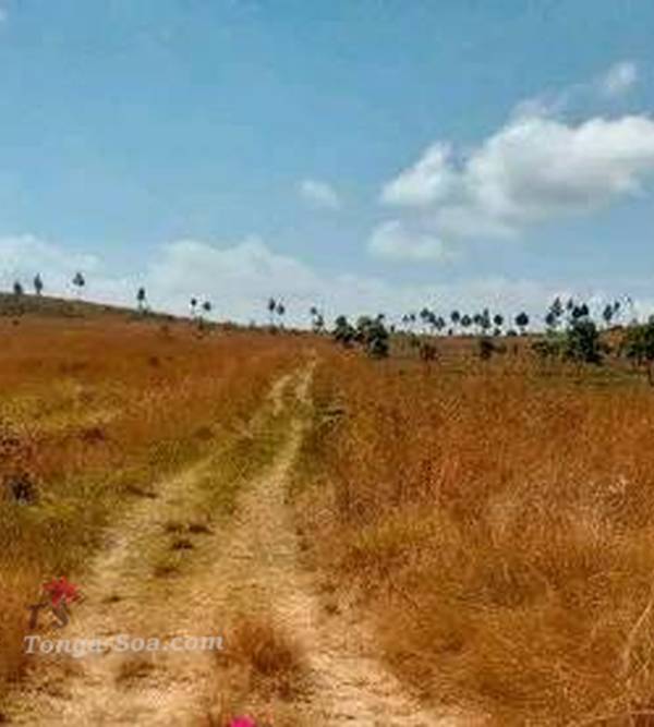 photo 1 de l annonce