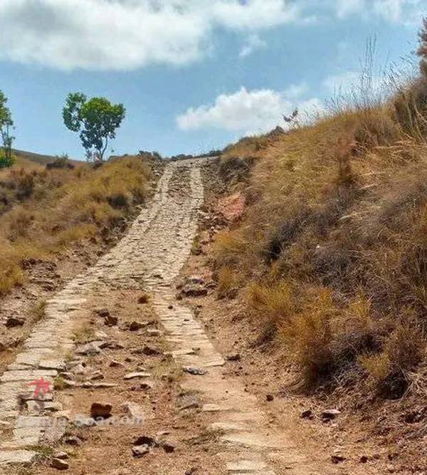 photo 5 de l annonce