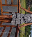 Annonce avec photo
