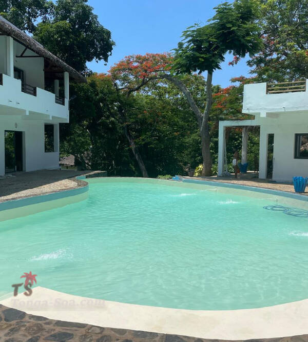 photo 2 de l annonce