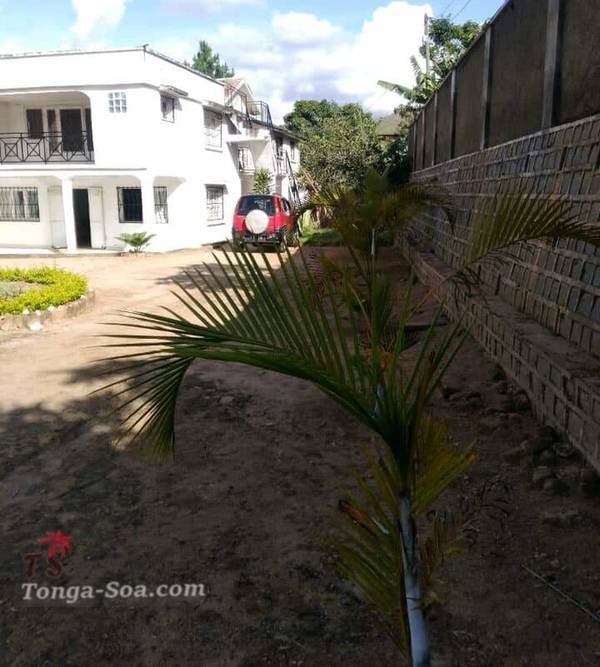 photo 1 de l annonce