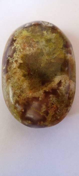 photo 1 de l annonce