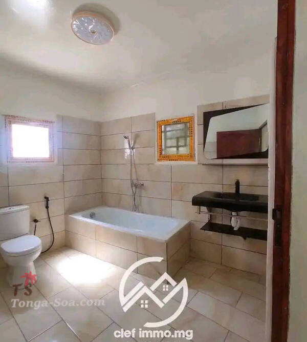 photo 3 de l annonce