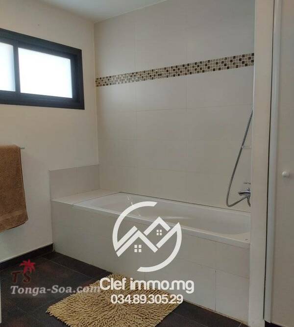 photo 2 de l annonce