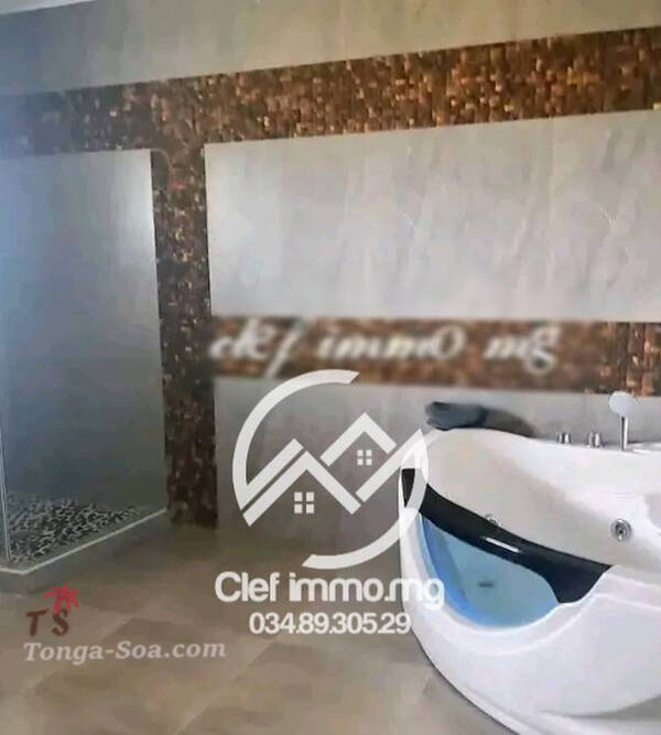 photo 1 de l annonce