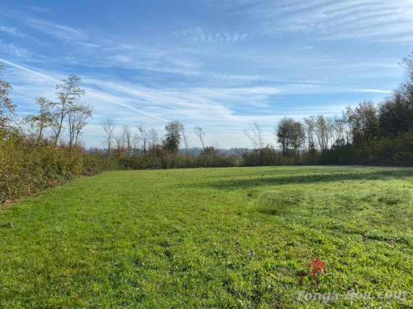 Immobilier Mada
