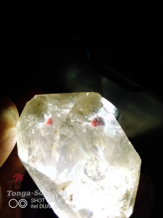 photo 3 de l annonce