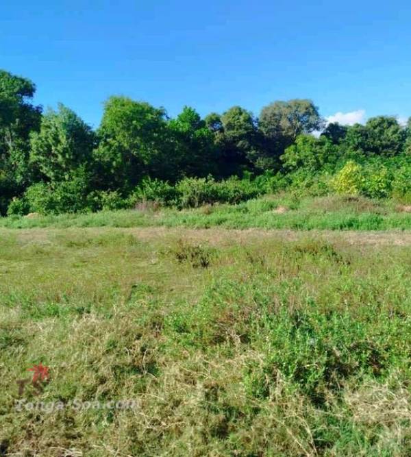 photo 1 de l annonce