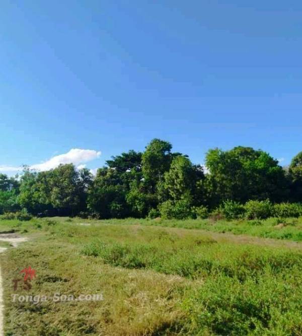 photo 2 de l annonce