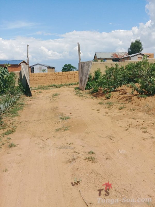 Terrain 2000m2 andriantany