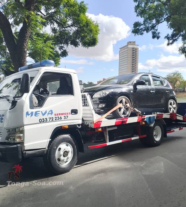 photo 1 de l annonce