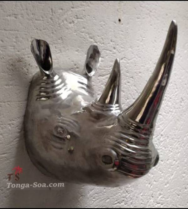 photo 1 de l annonce