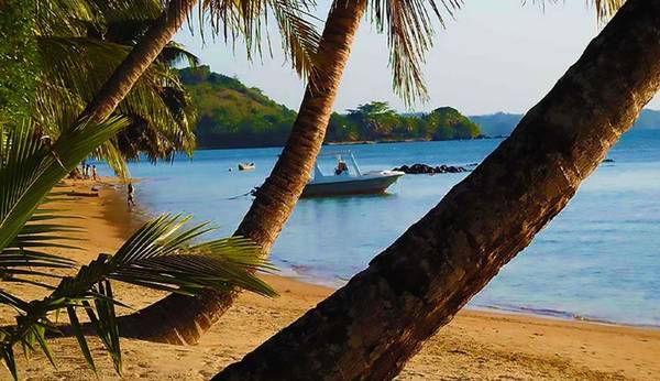 photo 3 de l annonce