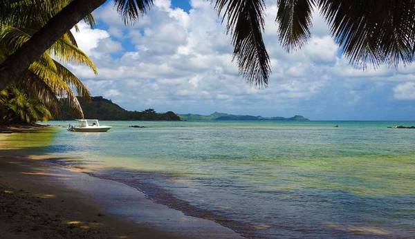 photo 4 de l annonce