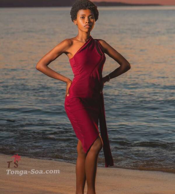 photo 1 de l annonce