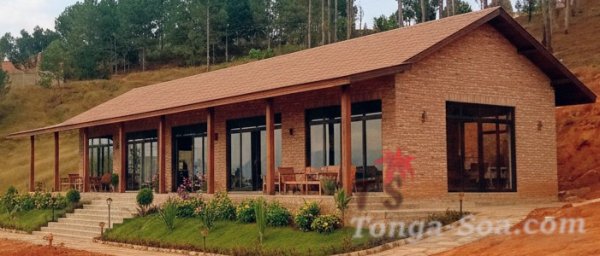 photo 1 de l annonce