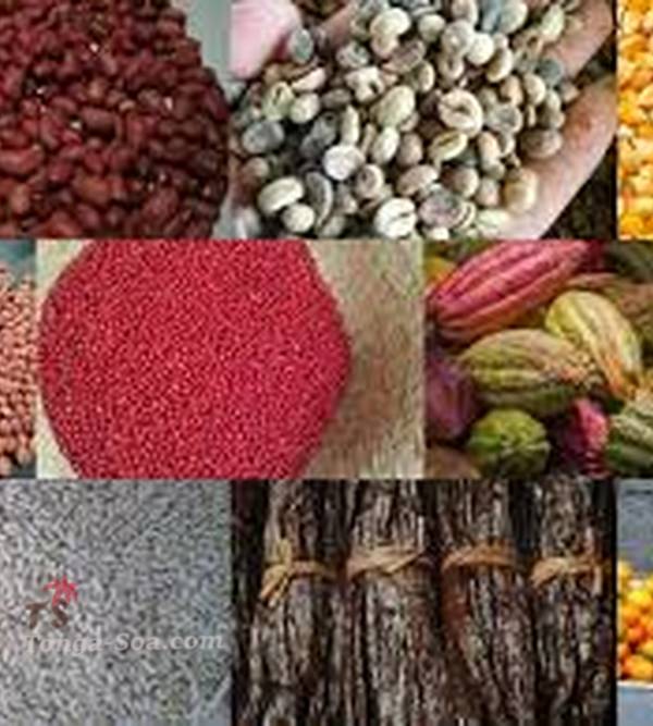 photo 1 de l annonce