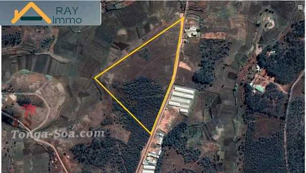 photo 1 de l annonce