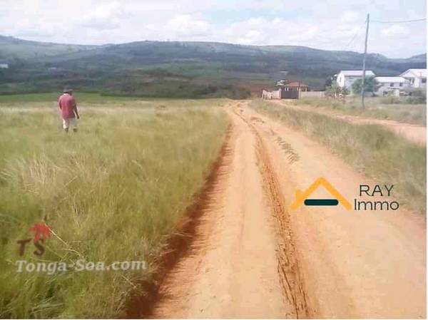 photo 2 de l annonce